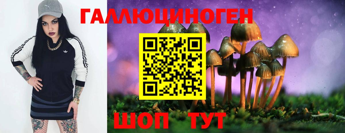 Галлюциногенные грибы мухоморы  Вход с VPN  Мурманск 