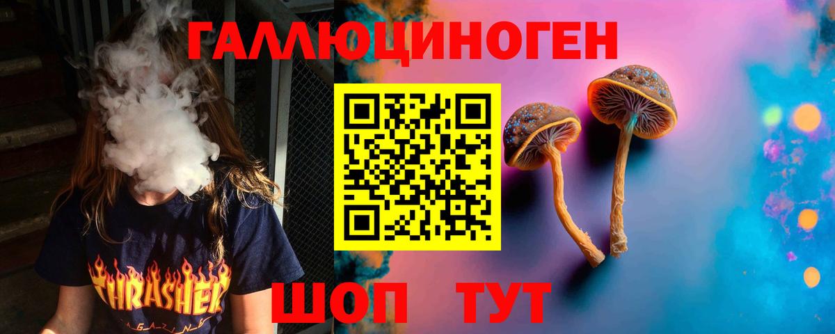 Галлюциногенные грибы Psilocybe Мурманск
